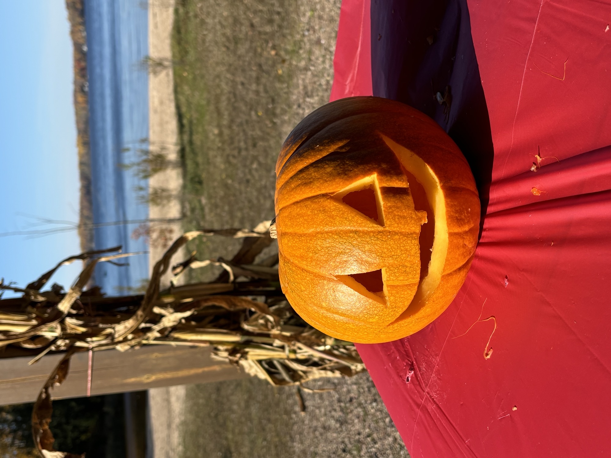 <div class="text-large">Kids Pumpkin Carving Event</div><div class="text-small text-muted">Photo Credit: Rec. Committee</div>